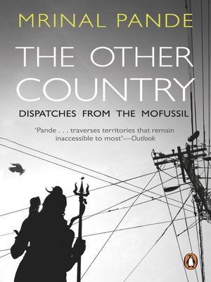 cover image of The Other Country